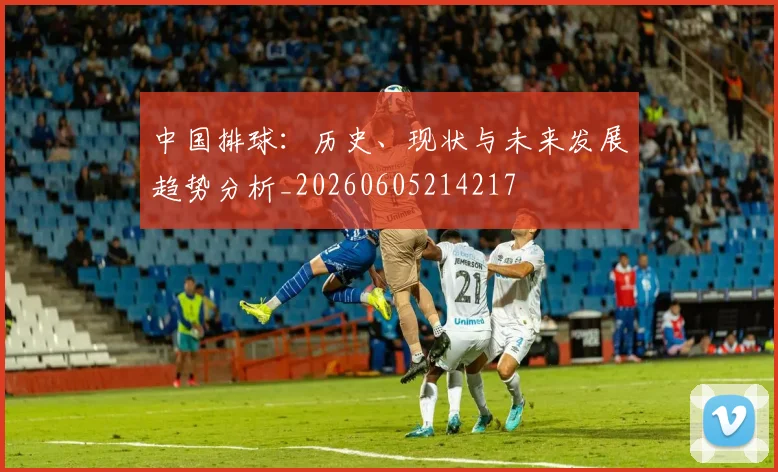 中国排球：历史、现状与未来发展趋势分析_20260605214217