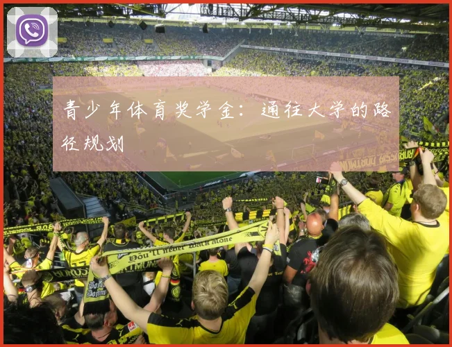 青少年体育奖学金:通往大学的路径规划