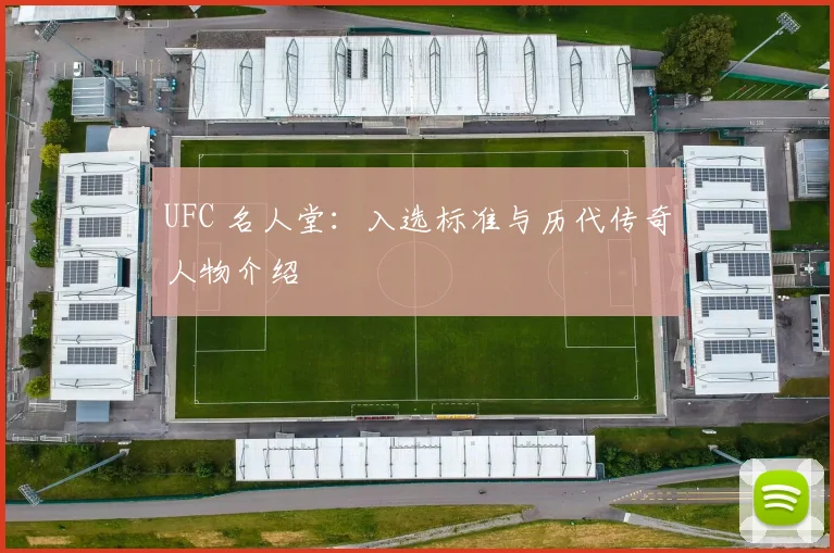 UFC 名人堂：入选标准与历代传奇人物介绍